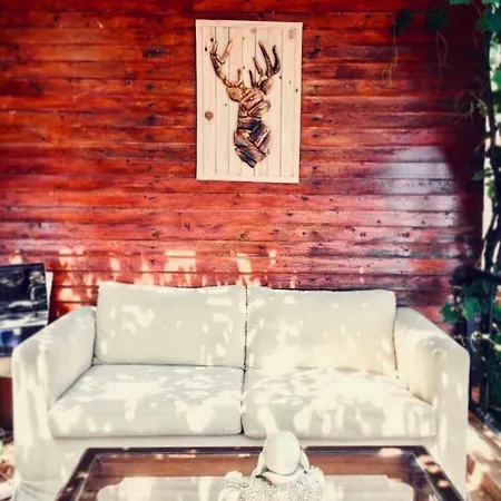 Quarto em Acomodações Particulares Pedro Mamma's