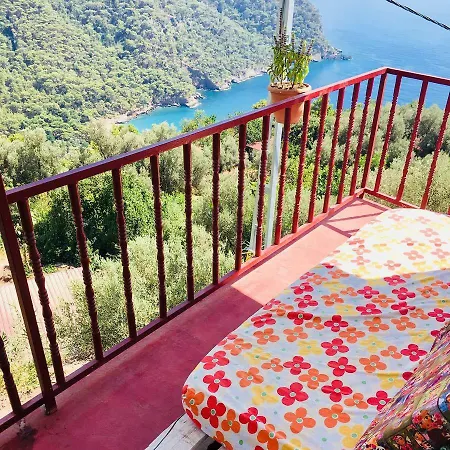 Homestay Pedro Mamma's Faralya