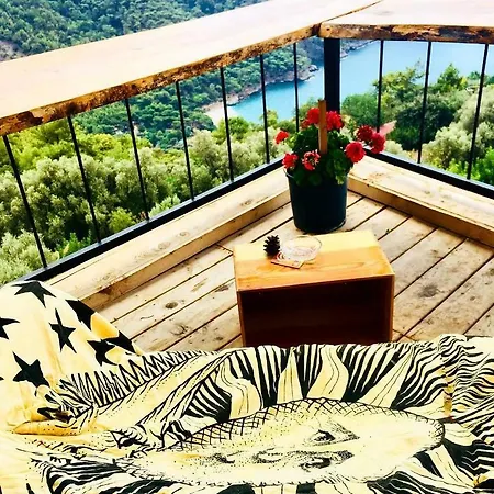 Pedro Mamma's Faralya